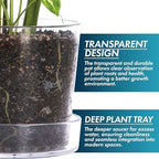 Phoenix Vine 12 Inch Clear Acrylic Planter Pot with Tray, Orchid Pot with Drainage Holes, Deep Saucer for Bottom Watering, Transparent Containers for Indoor Plants, Herbs, Set of 1, 91-A-I-1 - Image 4