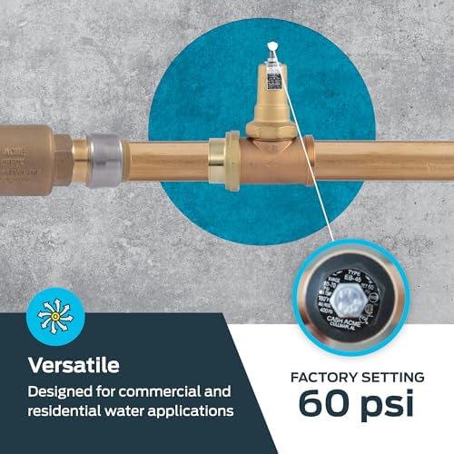 Cash Acme EB45 Pressure Regulating Valve, Double Union, 1 Inch NPT Female, Metal Top, 60 PSI, PVA20M-DUTH-60 - Image 3