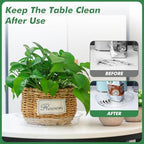 60 Pack 12 Inch Plant Saucer Clear Plant Saucers for Outdoors Plants Drip Trays Extra Large Pot Saucer No Holes Pot Saucers Planter Trays for Outdoor Plants Bulk Plastic Tray for Flower, Potted Tree - Image 3