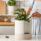Nihow Ceramic Self Watering Plant Pot for Indoor Plants, 8 Inch,Cream White - Image 5