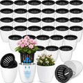 Self Watering Plant Pots, 3.5'', White Black, 36 Pcs by Ferrochef