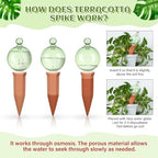 Teenyyou 3 Set 12oz Glass Self Watering Globes with Terracotta Self Watering Spike Large Glass Waterer Bulbs Automatic Water Planter Water Device for Indoor Outdoor (Green,Cactus)(Green,Classic) - Image 2