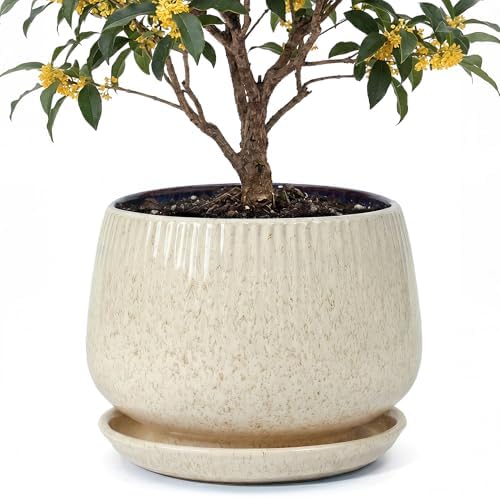 10.3 Inch Ceramic Planter with Saucer,Modern Garden Pots with Drainage Hole Mesh Net, for Indoor Outdoor Use (Silk White) by Unknown