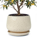 10.3 Inch Ceramic Planter with Saucer,Modern Garden Pots with Drainage Hole Mesh Net, for Indoor Outdoor Use (Silk White) by Unknown