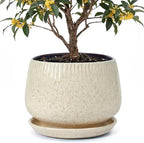 10.3 Inch Ceramic Planter with Saucer,Modern Garden Pots with Drainage Hole Mesh Net, for Indoor Outdoor Use (Silk White) by Unknown