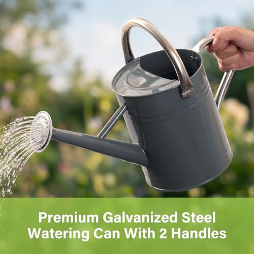 1 Gallon Metal Watering Can for Outdoor&Indoor Plants - Image 2