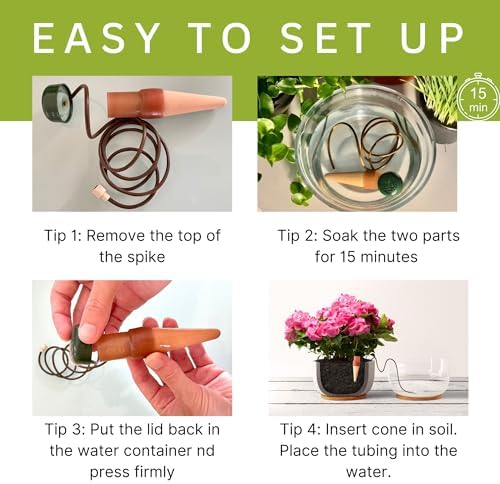Blumat Classic Self-Watering Stakes - Prevents Overwatering and Underwatering for Healthy Growth While You are Away - Ideal for Indoor Plant Watering (12 Pack w/o Adapter) - Image 3