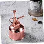 Steel Vintage Spout Bottle Watering Stainless with Long 300ml, Succulent - Image 7