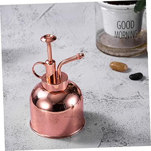 Steel Vintage Spout Bottle Watering Stainless with Long 300ml, Succulent - Image 7