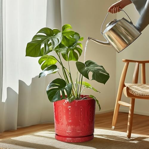 Eightpot 11.4 Inch Plant Saucers for Indoors, Plant Plates to Catch Water for Outdoor, Round Plants Drip Tray, Modern Planter Saucer, Decorative Plants Dishes to Catch Water, Flower Pot Tray, Red - Image 3