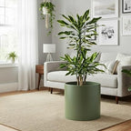 D'vine Dev Plastic Planter Pot with Saucer, 12 in, Olive, 74-X-I-3 - Image 5