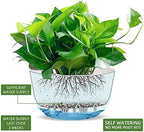 Dexceder 11.2 Inch Self Watering Hanging Planter (2 Pack, White) - Image 2