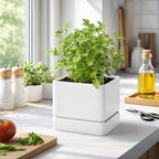 D'vine Dev 4-Pack Plastic Herb Planter Pots, 6 in, White, 76-Y-A4-2 - Image 4