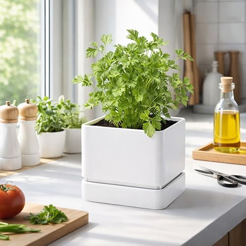 D'vine Dev 4-Pack Plastic Herb Planter Pots, 6 in, White, 76-Y-A4-2 - Image 4