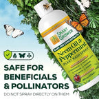 Neem Oil Spray for Plants with Peppermint Oil. Indoor & Outdoor Plant Use - Image 7