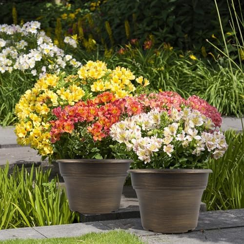 Fodetyff Planters-Plant-Pots-Indoor-Outdoor, 16 inch 4 Pack Gold - Image 6