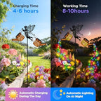 HELESIN Solar Lights Outdoor, Solar Garden Lights with Twin Watering Cans - Image 3