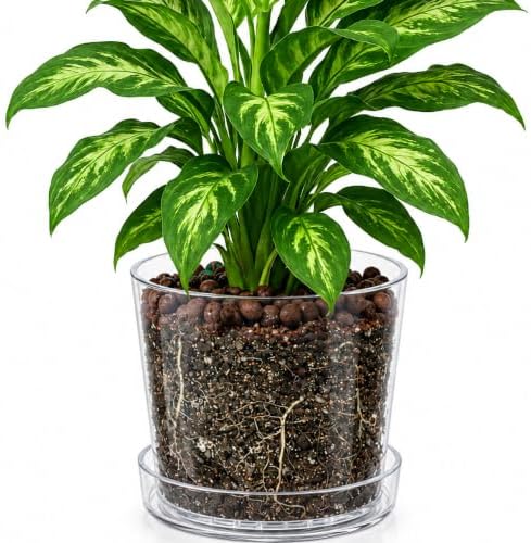 Phoenix Vine 10 Inch Clear Acrylic Planter Pot with Tray, Orchid Pot with Drainage Holes, Deep Saucer for Bottom Watering, Transparent Containers for Indoor Plants, Herbs, Set of 1, 91-A-H-1 by Phoenix+Vine
