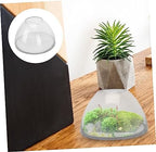 Landscape Glass Bottle Terrarium Holder for Plants Storage Container for Moss and Decor for Home and Garden Use - Image 6