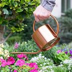 SUNESA Watering Can Long Spout Watering Can 1000ml Stainless Steel Watering Pot Retro Gardening Tools for Home Office, Indoor Outdoor House Plant Watering Spout Water Can (Color : Gold) - Image 6