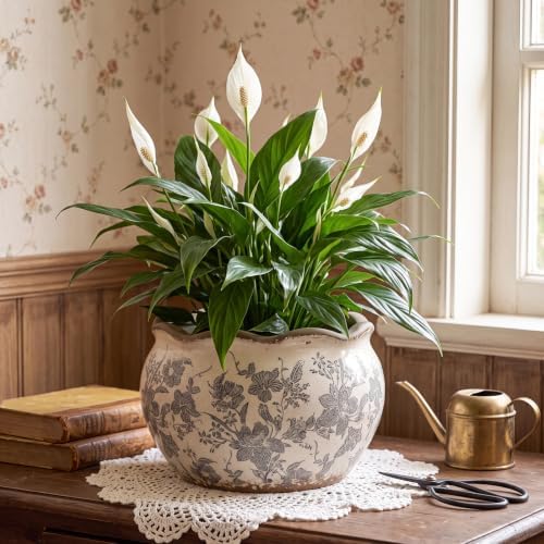 Geetery Ceramic Planter Pot 9.6 Inch Round Plant Pot, Floral, Grey, Medium - Image 6