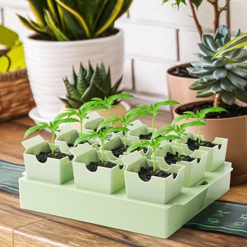 2 Pack Seed Starter Trays, Lift-Out Handles, Easy Transplanting - Image 7
