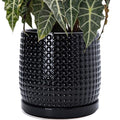 D'vine Dev Beaded Ceramic Pot with Saucer, 10 in, Glossy Black, 27-C-P-2 by DvineDevPlanterPotsandStand