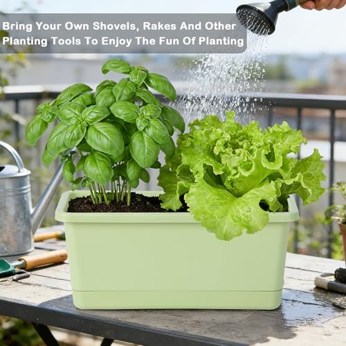 Oliz Window Box Planter 6 Packs, 13.8 Inches Rectangle Flower Pots with Drainage Holes & Trays, Pots for Vegetables, Herbs, Flowers, Garden Windowsill Balcony (Green) - Image 3