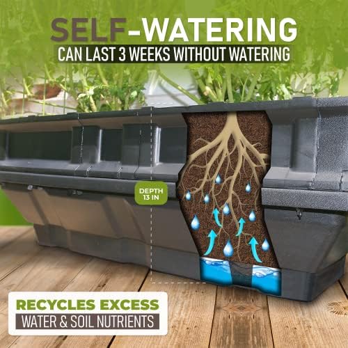Vegepod - Raised Garden Bed - Self Watering Container Garden Kit with Protective Cover, Easily Elevated to Waist Height, 5 Years Warranty (Small) - Image 2