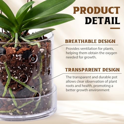 5/6 Inch Clear Acrylic Orchid Planter Pot with 360° Round Holes & Tray - Image 3