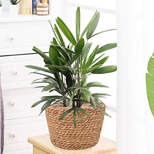 Seagrass Planter Basket Stylish Planter Baskets, Set of 4 - Image 5