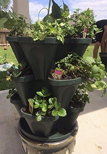 Mr. Stacky Self Watering 3 Tier Stackable Garden Vertical Plastic Planter Set, Hunter Green - Image 3