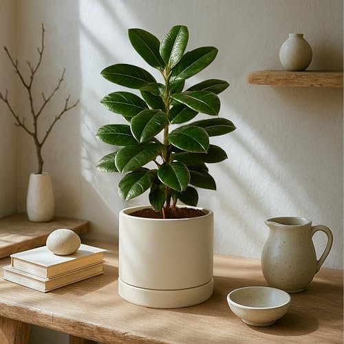 Phoenix Vine 8 Inch Planter Pot with Drainage Hole & Saucer, Deep Water Catch Tray, Straight Cylindrical Round Pot for Plants, Oatmeal, Pack of 1, 23-E-T-1 - Image 2