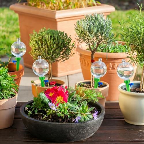12 Pcs 17 oz Plant Watering Globe with Adjustable Spike, Green - Image 7