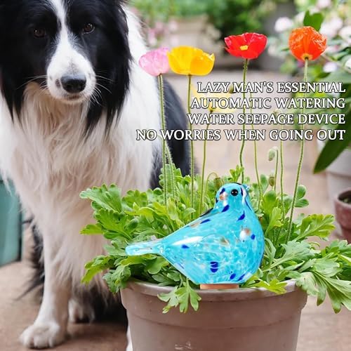 Plant Watering Globes, Bird Glass Self Watering Planter Insert - For Indoor & Outdoor Plants - Glass Plant Water Globes For Daily Use, Planter Spikes To Support Indoor & Outdoor Plant Health, Sky Bule - Image 7