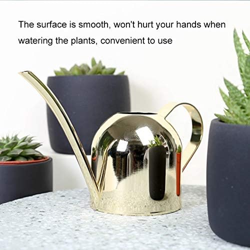 Stainless Steel Water Can for Indoor Plants and Garden, Mini Indoor Watering Can for Small Plants Stainless Steel Watering Can with Long Spout for Desk, Windowsill & Bonsai, 17oz/500ml (Gold) - Image 3