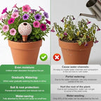 4-Pack Terracotta self-Watering Stakes for Indoor Plants - Image 4