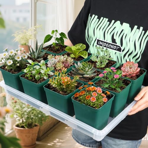 RooTrimmer Clear Seed Starter Trays 5 Pack(17"x11"x2"), Reusable Plastic Carrying Seedling & Nursery Trays, Durable Flat Pots Trays, Transparent Square Tray for Planting and Collecting Drainage Water - Image 5