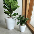 Self-Watering Planters, 2-Pack, 10.2 Inch, White by Noeko