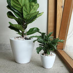 Self-Watering Planters, 2-Pack, 10.2 Inch, White by Noeko
