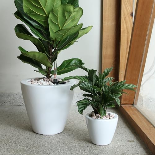 Self-Watering Planters, 2-Pack, 10.2 Inch, White by Noeko