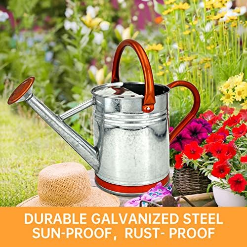Metal Watering Can for Outdoor Plants, Galvanized Steel Watering Can with Removable spout, 1 Gallon,Perfect Home & Garden Décor Retro Zinc Hue - Image 5