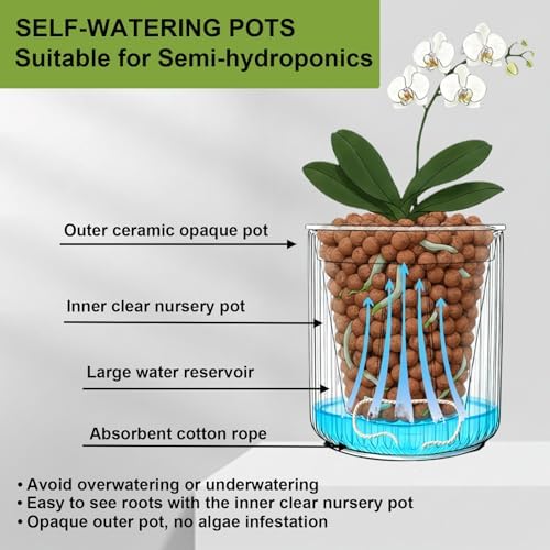 Small Ceramic self Watering Pot for Succulents, 4 inch, White,2pack - Image 7