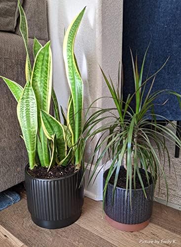 LE TAUCI Ceramic Plant Pots with Drainage Holes, Set of 3, 8+6.7+5.5 Inch Stripe Garden Planter Pots for Outdoor Indoor Plants Flower, Round Succulent Orchid Flower Pot, Reactive Glaze Black - Image 5