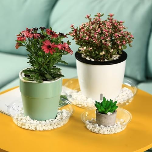 20 Packs 18" Extra-Large Clear Plant Saucers for Indoor Outdoor Use Heavy Duty Plastic Plant Trays for Planter Bulk Flower Pot Drip Trays to Catch Water, 4 to 20 Inch - Image 6