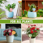Plant Watering Spikes 4 Pieces Terracotta Irrigation Stakes - Image 4