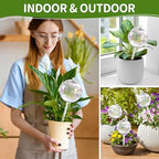 17 oz Extra Large Plant Watering Globes, 4 Pack Self Watering Globes - Image 3
