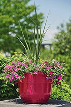 Garden Elements Indoor/Outdoor Glazed Brushed Happy Plastic Planter, Large, Bright Pink, 15" (Pack of 2) - Image 2