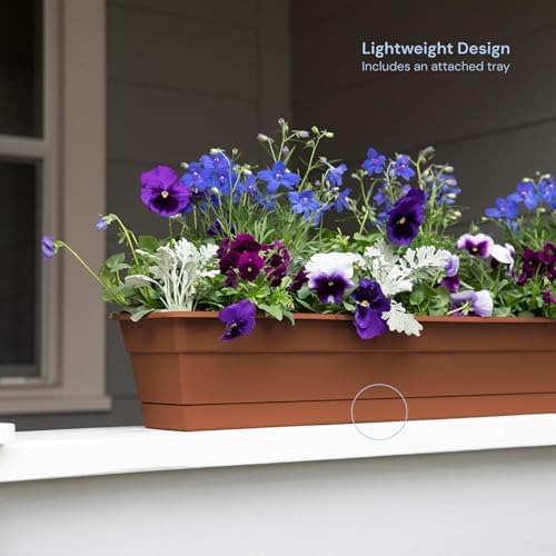 Bloem Dura Cotta Window Box Planter: 30" - Terra Cotta - Large Box with Tray, Weatherproof Resin Box, Removable Tray for Indoor & Outdoor Use, Gardening, 4 Gallon Capacity - Image 2
