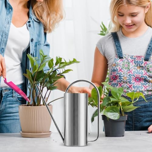 Long Spout Watering Can, Stainless Steel Gardening Kettle with Indoor Plant - Image 2